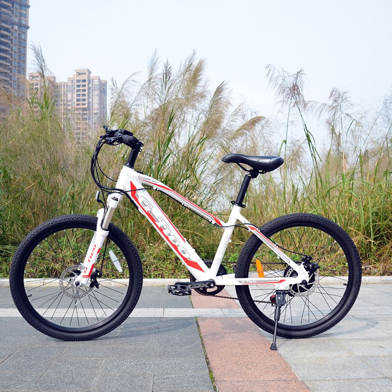 24 inch e bike