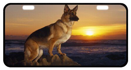 Cute Dogs German