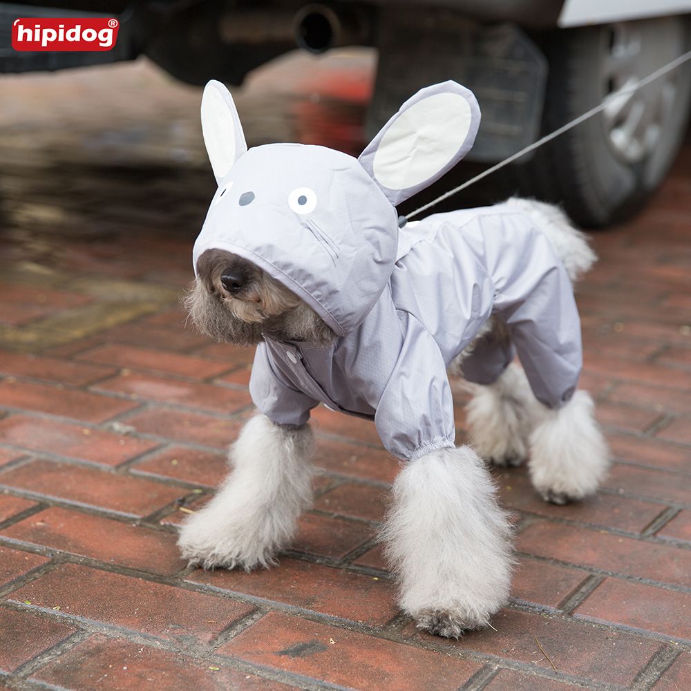 frog raincoat for dogs