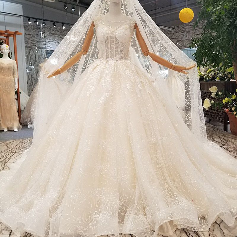 Transparent Fashion Wedding Dress Applique Beaded For Women Sexy See Through Back Gowns With Veil Newest Design Sleeveless Bride Dress Full Ball Gown