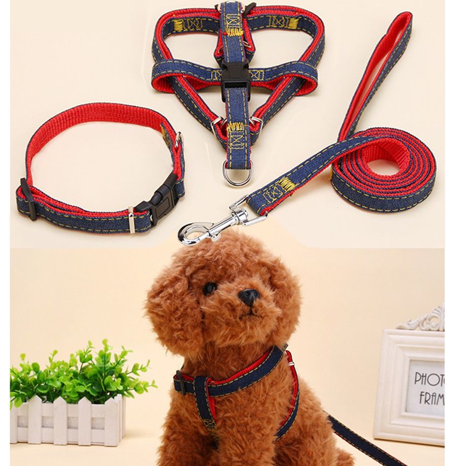 puppy harness and leash