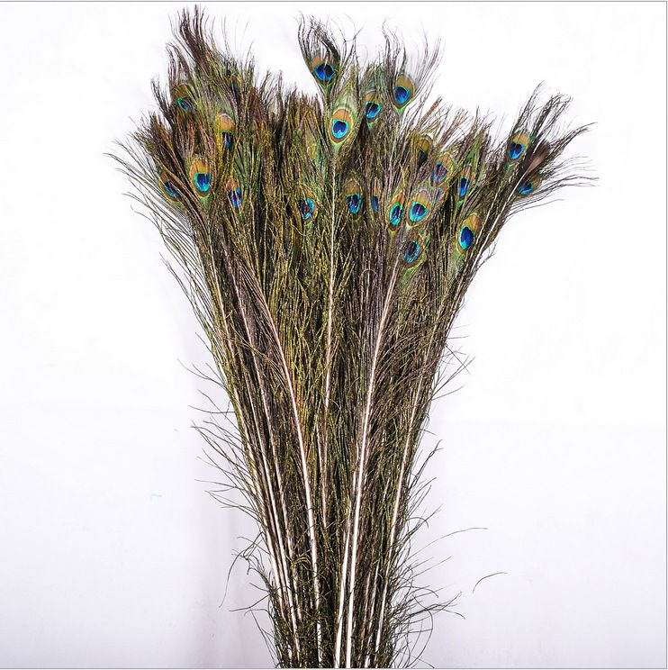 Pure Natural Peacock Feathers Import Peacock Feather Tail Wedding