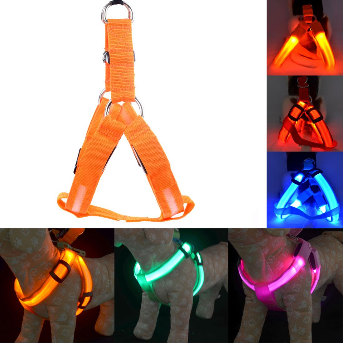 lighted leashes