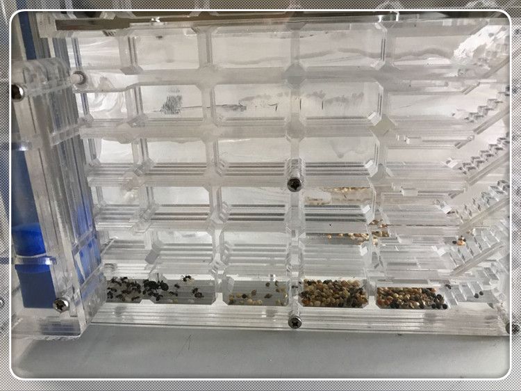 2018 New Double Water Towers DIY Assembling With Feeding Area Ant Nest ...