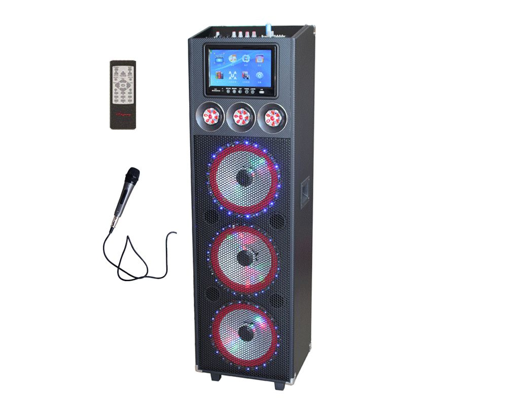 dj bluetooth speaker with lights