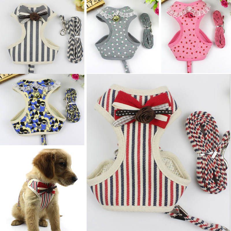 2020 Mesh Dog Leashes With Vest Reflective Bow Tie Cat Pet Leash Harness Suit Chest Collar Accessores Supplies Wx9 741 From Starhui 5 92 Dhgate Com