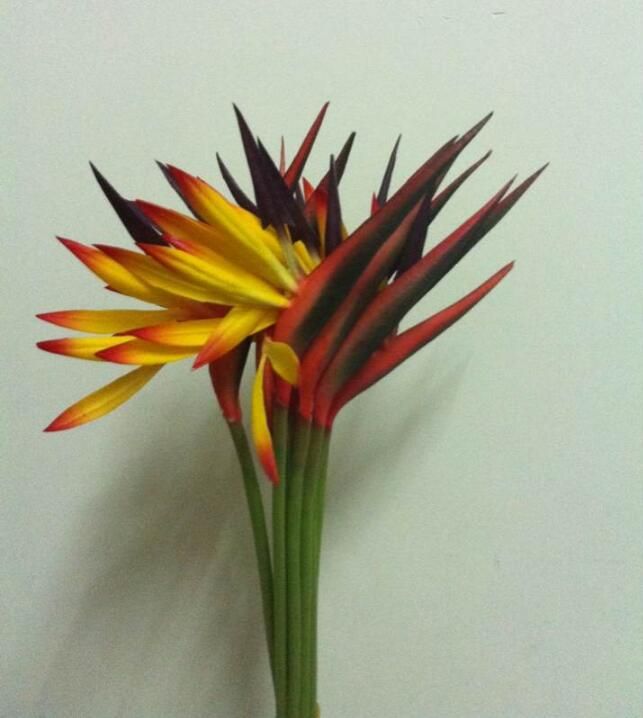 Acheter Real Touch Oiseau De Paradis Fleur Environ 57cm De Longueur Tropical Flower Artificielle Fleur Bird Of Paradise Livraison Gratuite Pf015 De