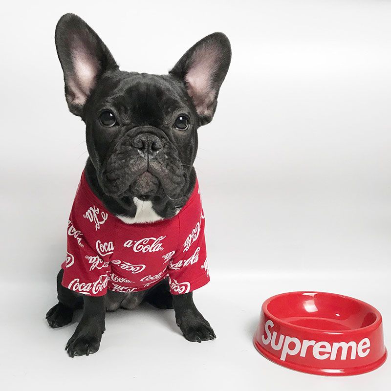 puppy apparel