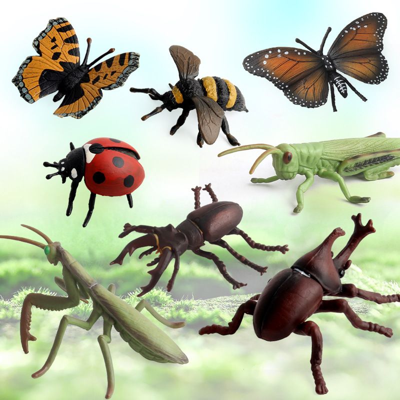 insect toys