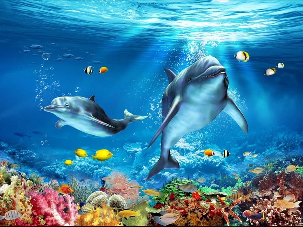 Wholesale-murals-3d wallpapers home decor Photo background wallpaper Dolphin 3D Underwater World Floor Tiles children's room mural wallpaper Wholesale-murals-3d wallpapers home decor Photo background wallpaper Dolphin 3D Underwater World Floor Tiles children's room mural wallpaper
