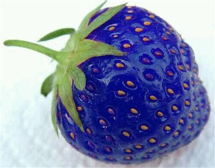 50Pcs Mixed Color Strawberry Fruit Plant Seeds Bonsai Balcony Garden Decor USA 50Pcs Mixed Color Strawberry Fruit Plant Seeds Bonsai Balcony Garden Decor USA