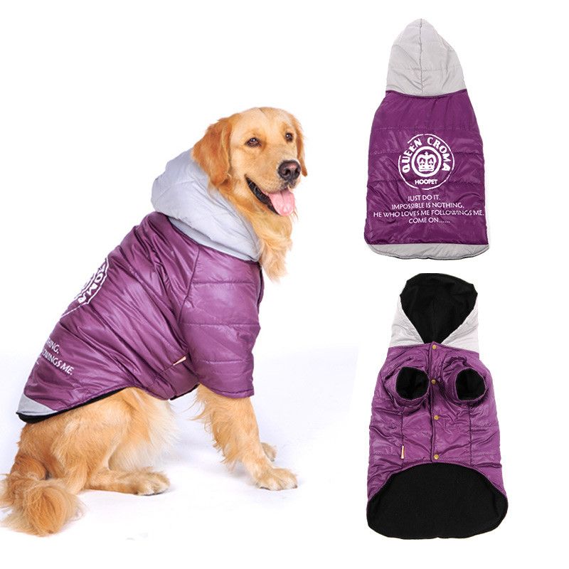 purple dog jacket