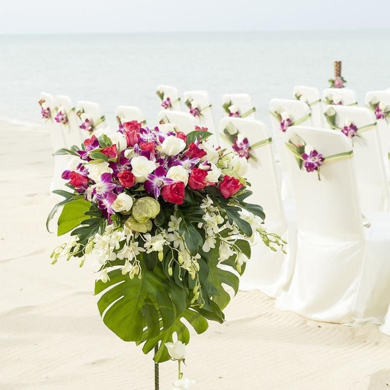 Get Diy strand partydekorationen fuehrer For Free Diy Strand Partydekorationen Fuehrer