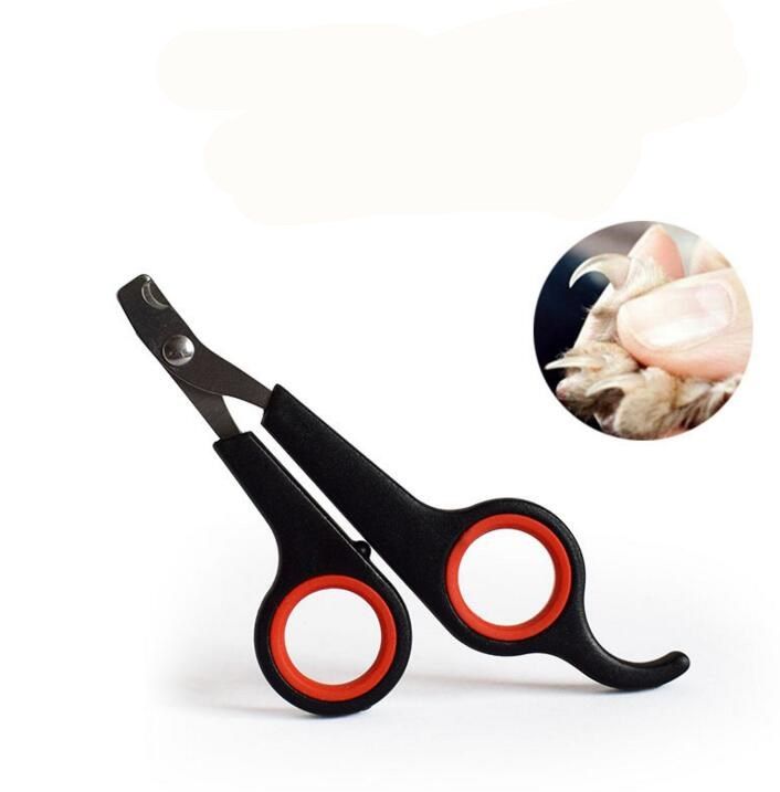cat nail clippers pets at home
