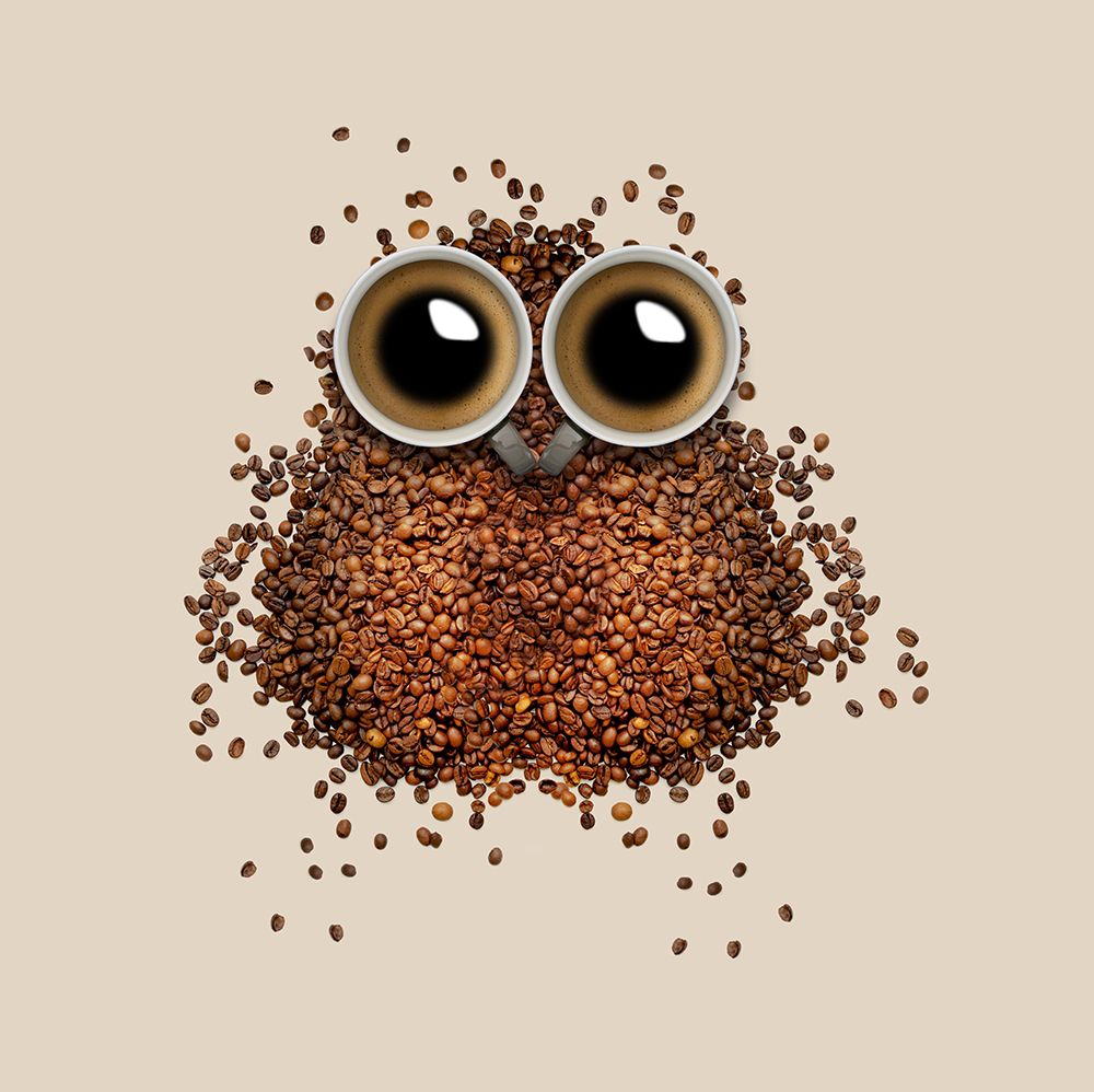 Owl Coffee Beans 5d Diamond Cross Stitch Embroidery Owl Whole Home