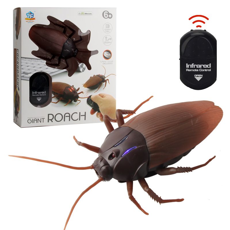 rc insect