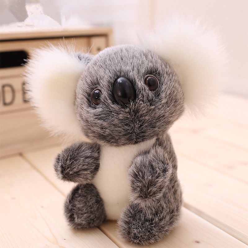koala soft toys