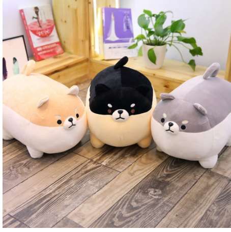 blue miniature poodle