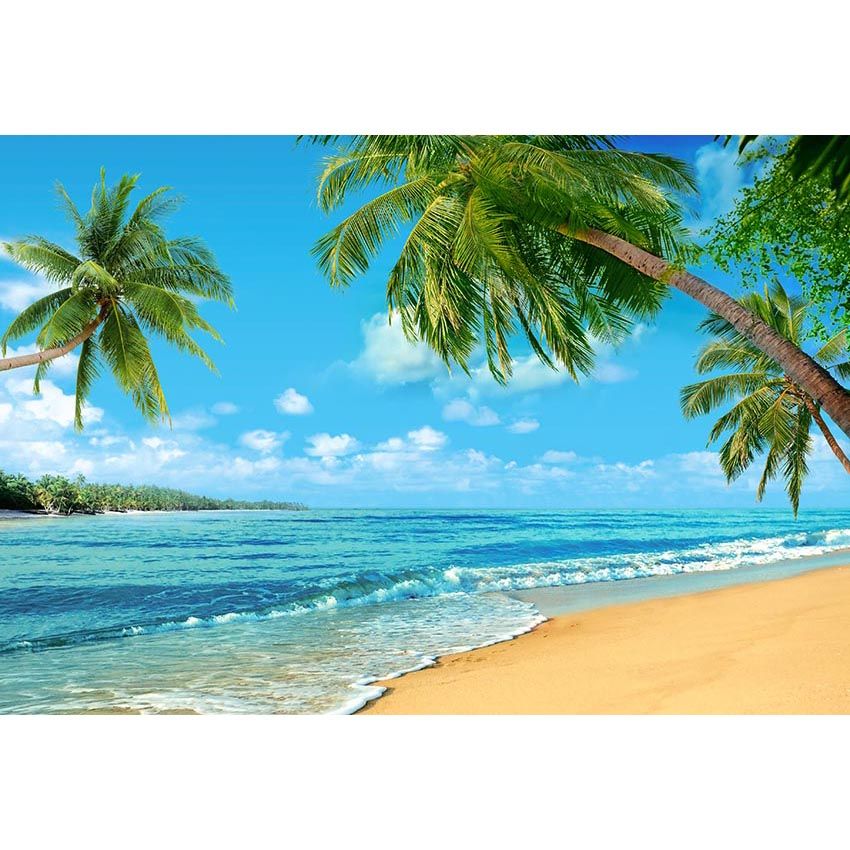 Acquista Fondali Spiaggia Di Mare E Cielo Blu Fotografia Stampata Palm Trees Bambini Summer Holiday Wedding Scenic Shoot Sfondi A 15 25 Dal Backdropsfactory Dhgate Com