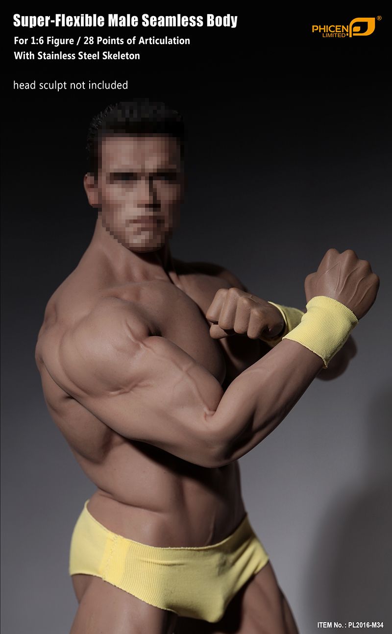 1//6 Phicen Super Flexible Male Seamless Body Steel Skeleton PL2016-M33 TBLeague