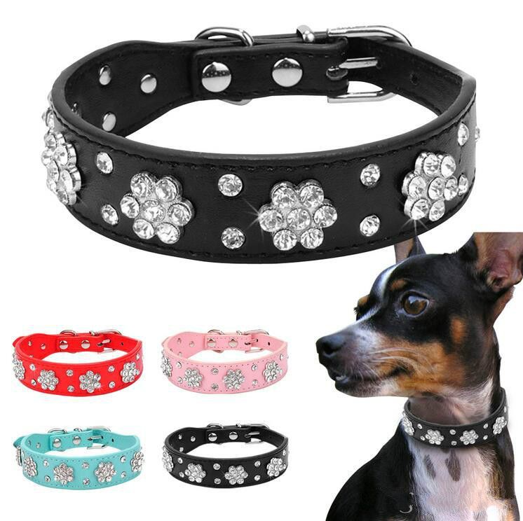 red rhinestone dog collar