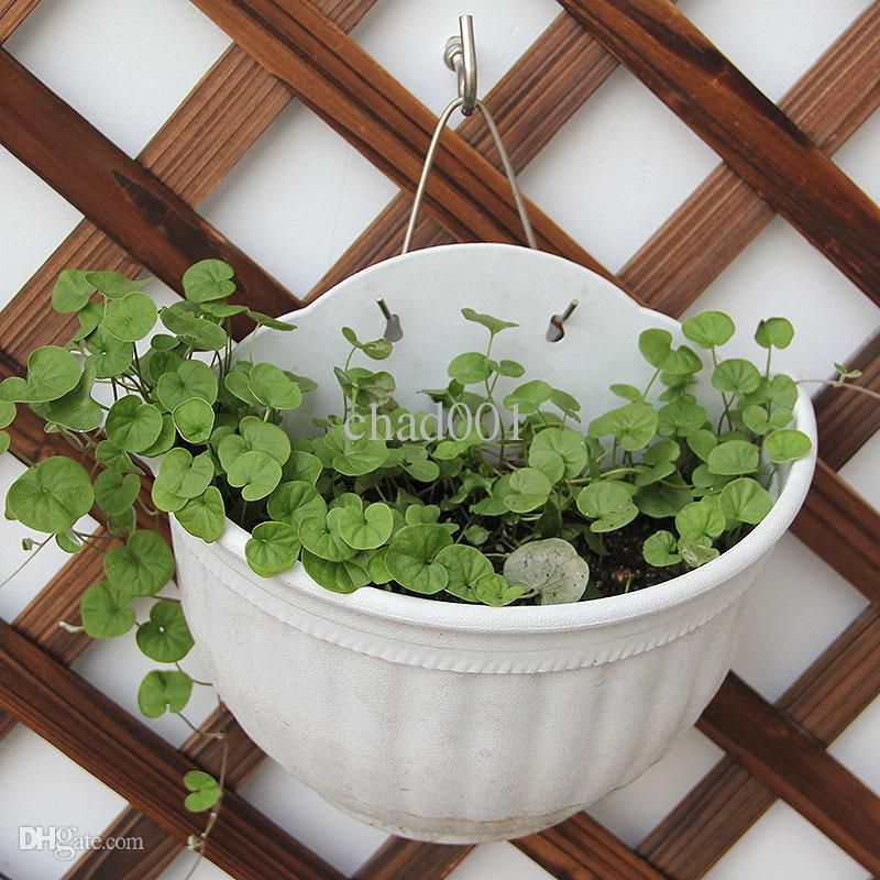 2019 Whole Flower Pots Wall Hanging High Quality Plastic Resin Basket Planters Outdoor Plants Pot Planter Pots056 From Bowstring - Wall Hanging Pot Plants 2019 Whole Flower Pots Wall Hanging High Quality Plastic Resin Basket Planters Outdoor Plants Pot Planter Pots056 From Bowstring - Wall Hanging Pot Plants