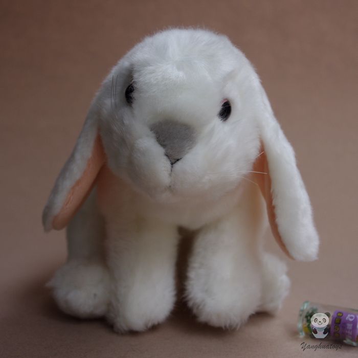 rabbit kids toy
