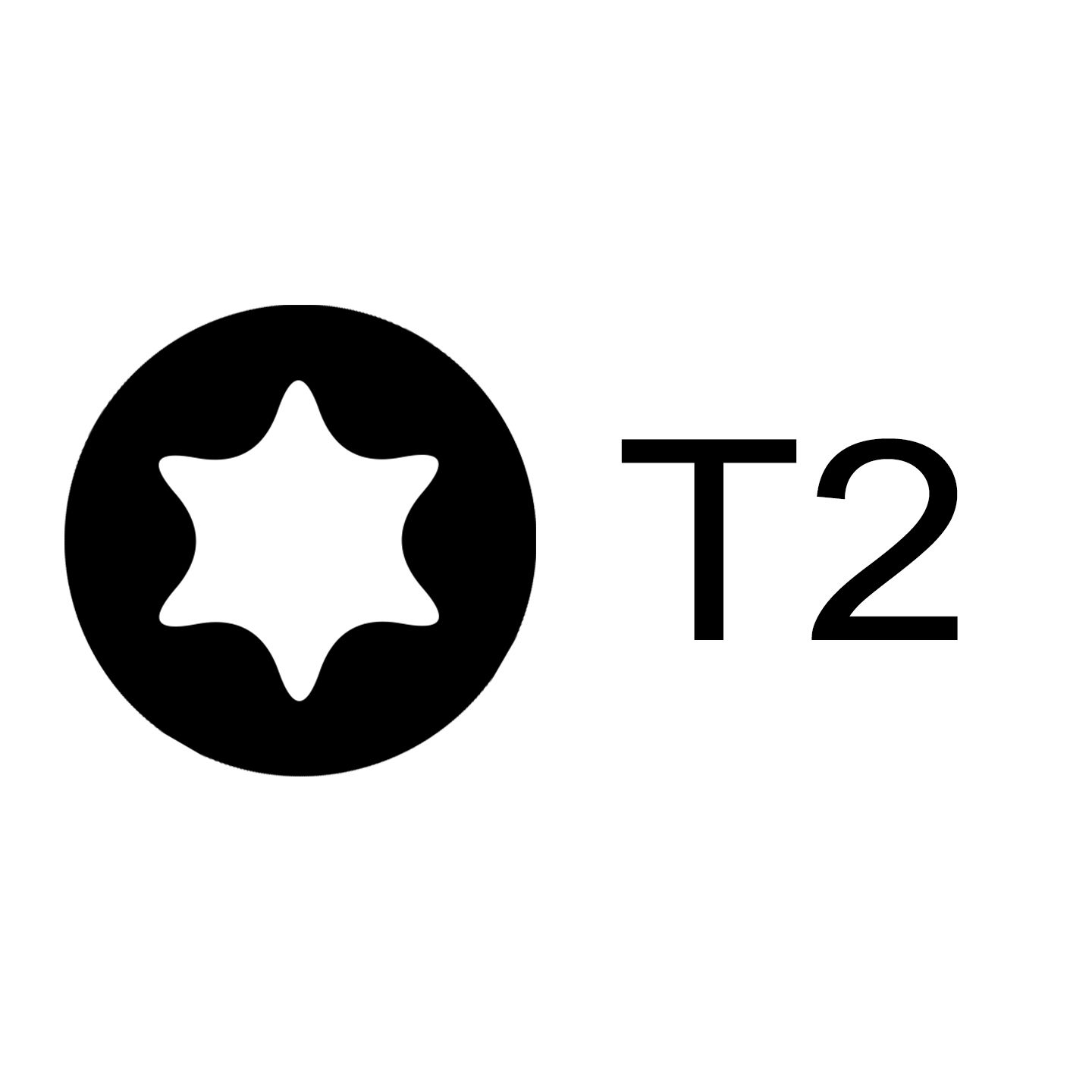 T2