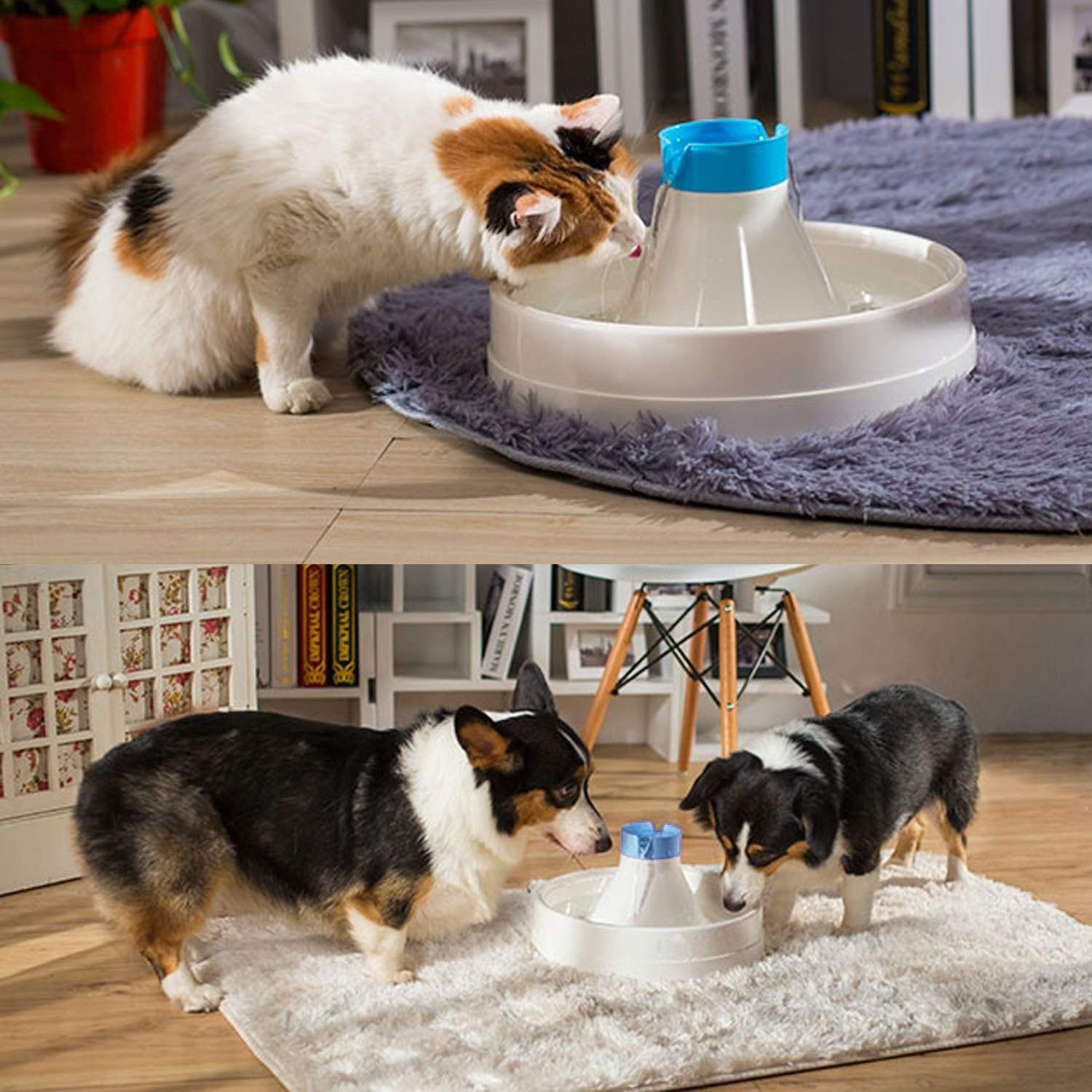 360 dog water bowl