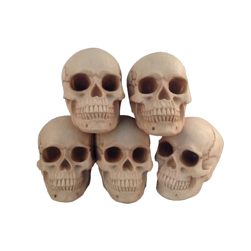 19 HKDJ-Resina Testa di Scheletro Modello,Creativo Cranio Figurina Home Office Decor Formazione Medica,Divertente Decorazione da Scrivania,12 11CM