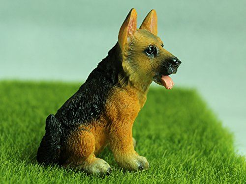 micro german shepherd