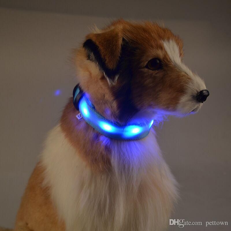 light up leash