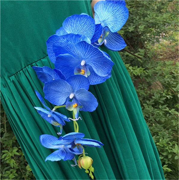 blue color orchid