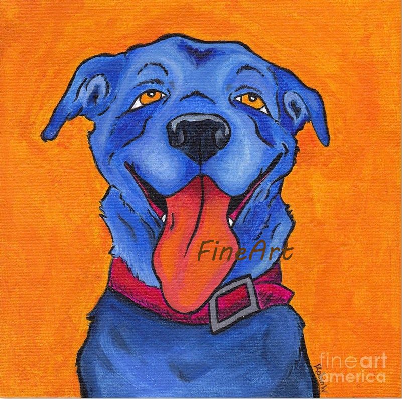 Grosshandel Rabatt Leinwand Abstrakt Blau Hund Olgemalde Tier Leinwand Kunst Wanddekor Leinwand Gemalde Fur Kinderzimmer Rabatt Wandmalerei Ideen Hom Von Fineart 34 18 Auf De Dhgate Com Dhgate