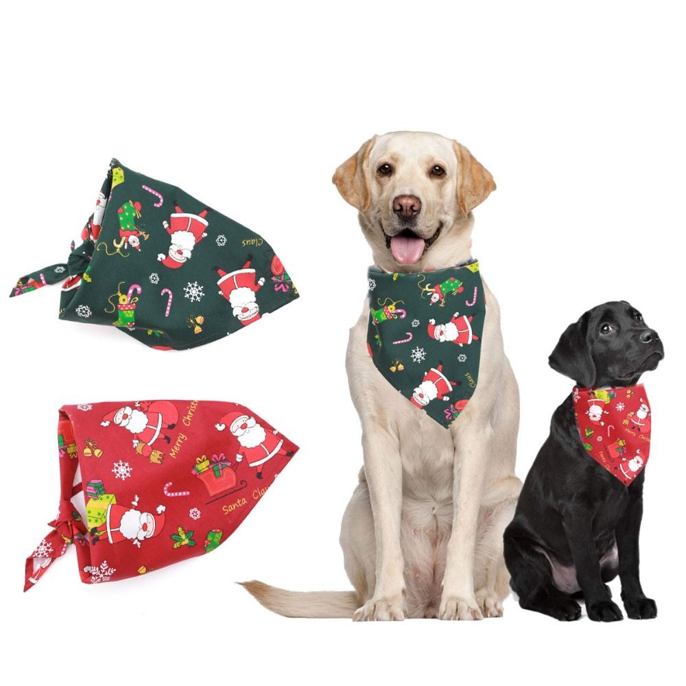 soft touch dog grooming