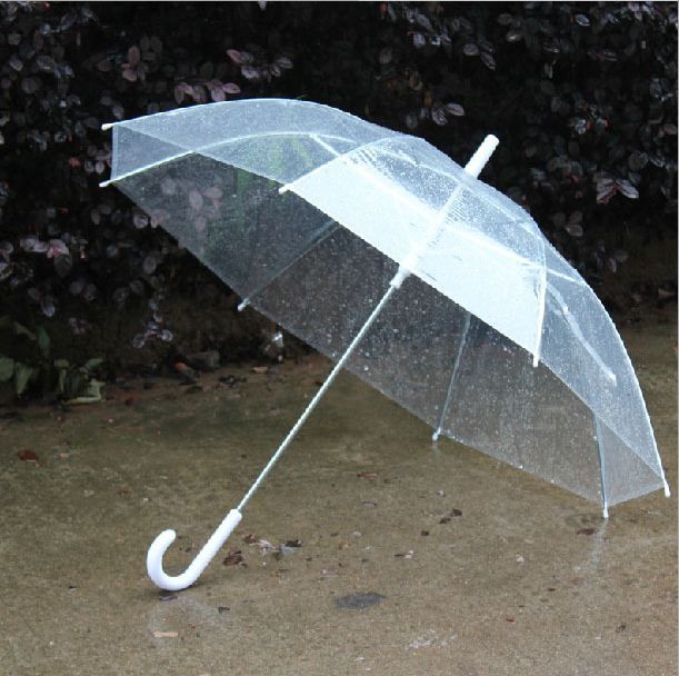 see through umbrella