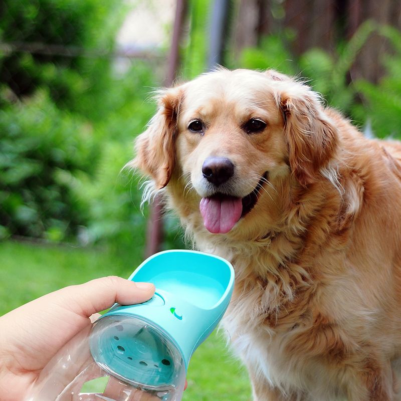 dog bowl water bottle