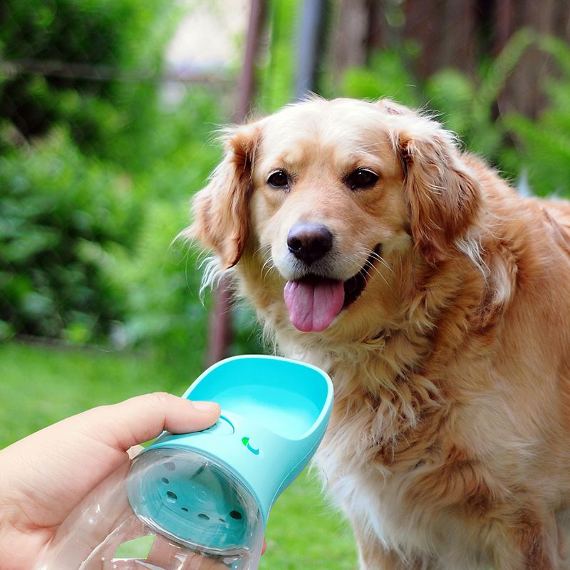 large outdoor dog water bowl