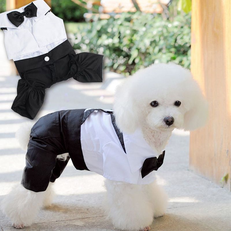 Hermoso traje de perro de mascotas vestido de boda ropa perros pequeños cachorro peluche caniche