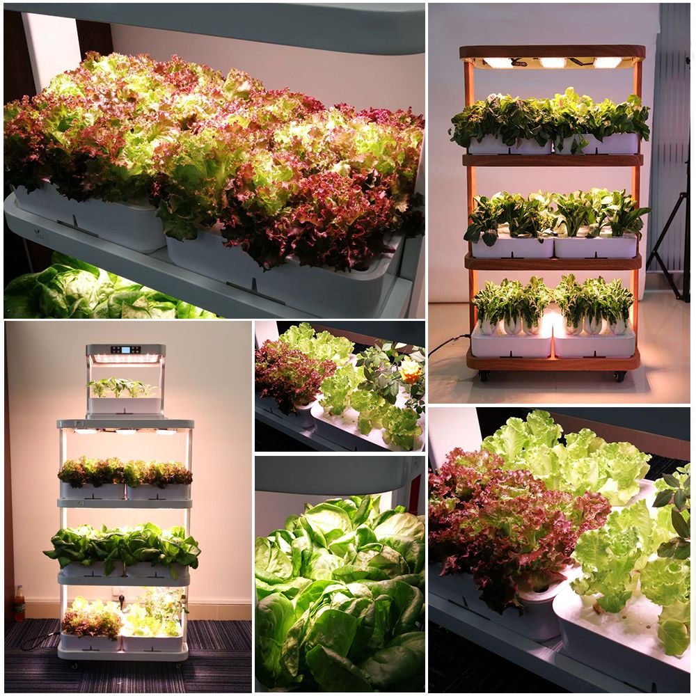 Home Used Hydroponic Growing Systems Smart Mini Garden Planter