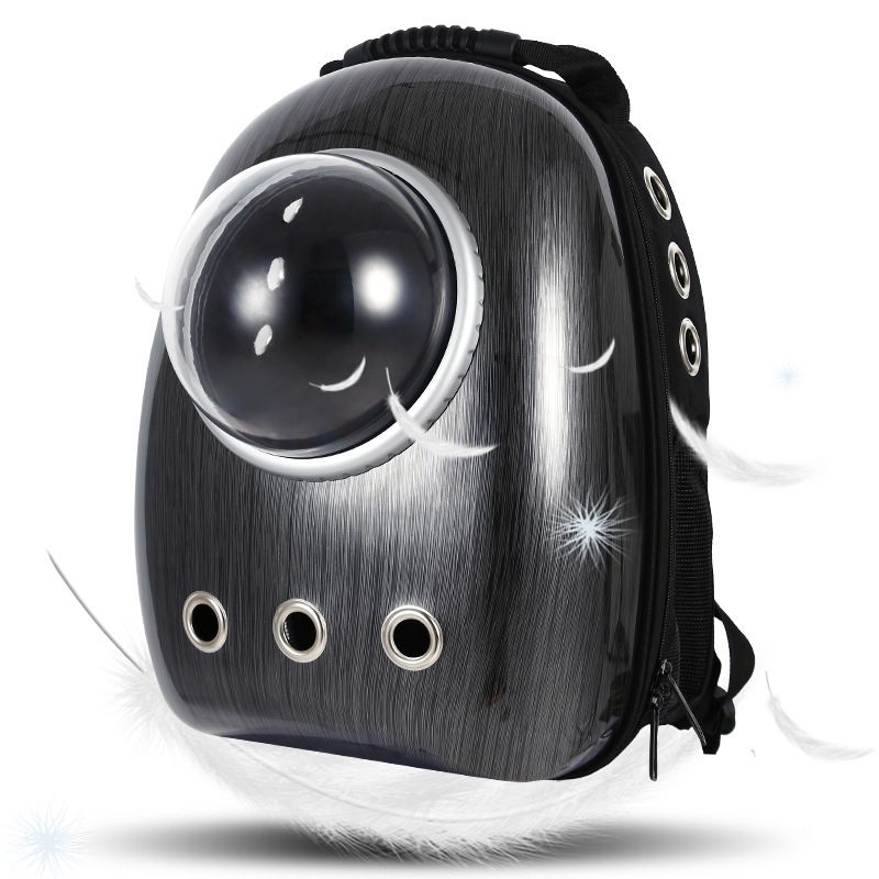 cat backpack bubble window