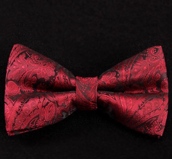 Mens Japanese Noodles Classic Casual Tie Necktie