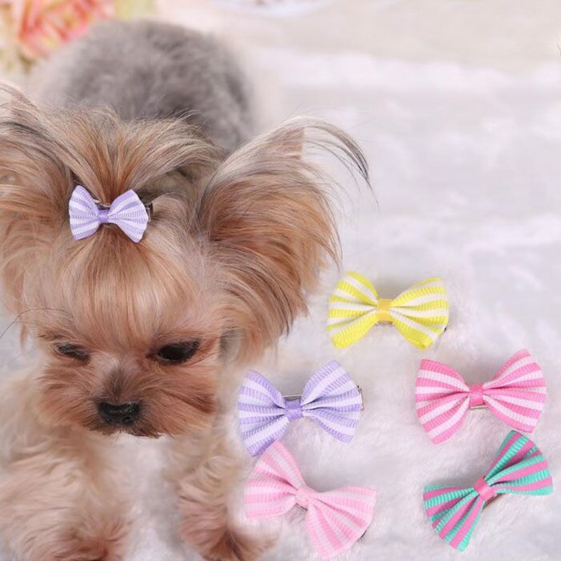 designer dog bows