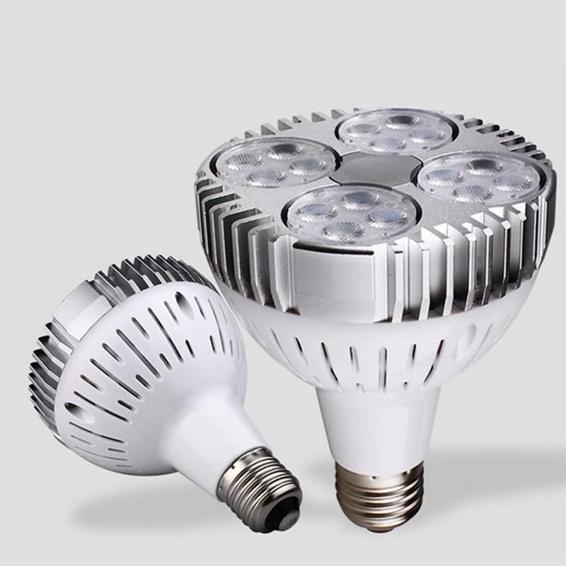 par flood light bulbs