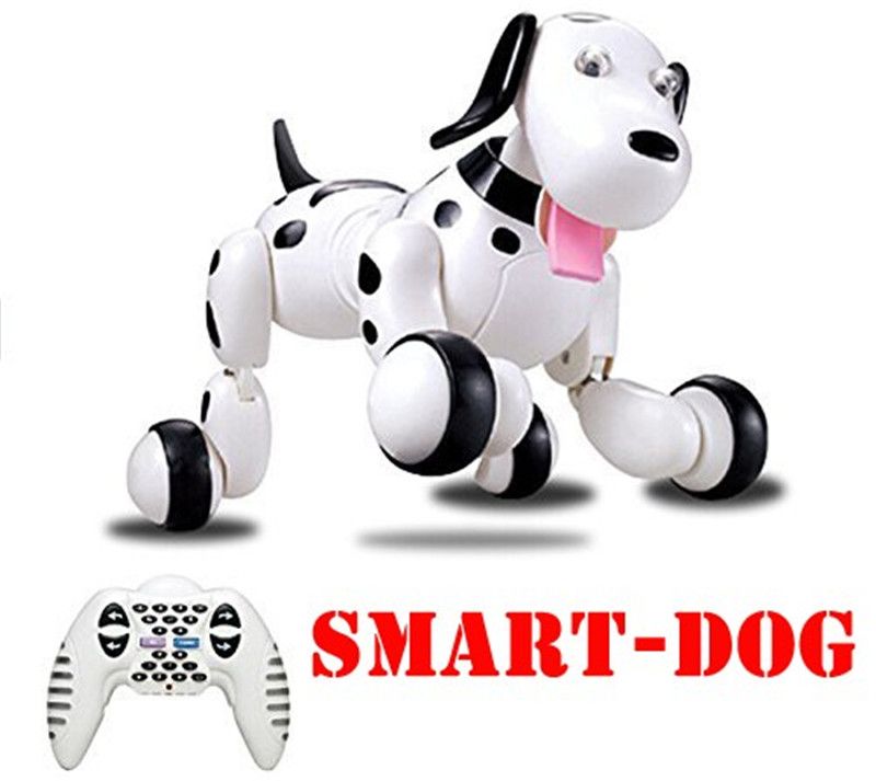 remote control pet door