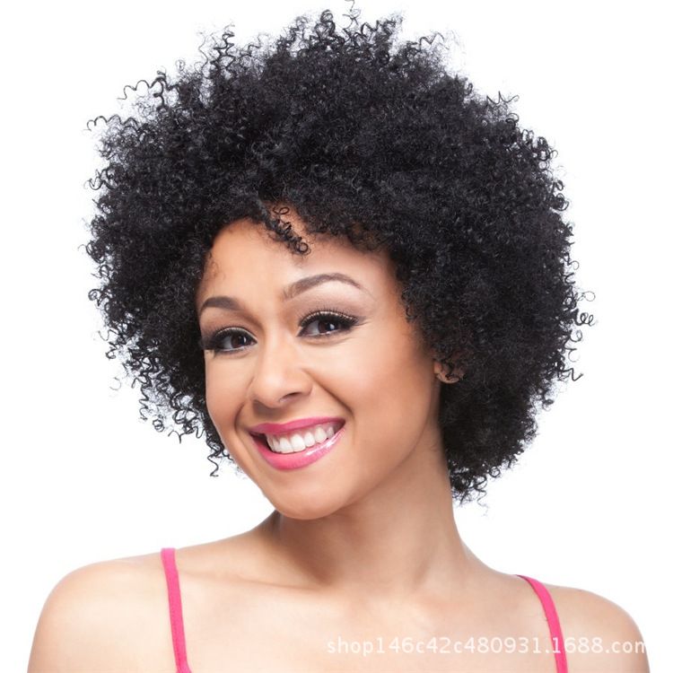 Roll Hairpiece Synthetic Short Hair African Curly Hairpiece Natural Brunette Braided Head African American Female Hair Set Vanessa Fifth Avenue Collection Synthetic Wig Sassy Lace Wigs From Ling199518 14 33 Dhgate Com