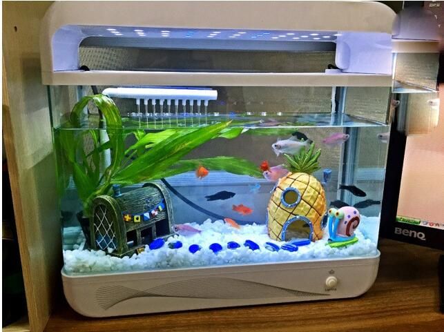 Wholesale Mini Aquarium House Pineapple Cartoon House Home Fish