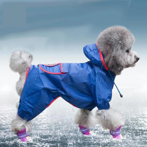 poodle raincoat