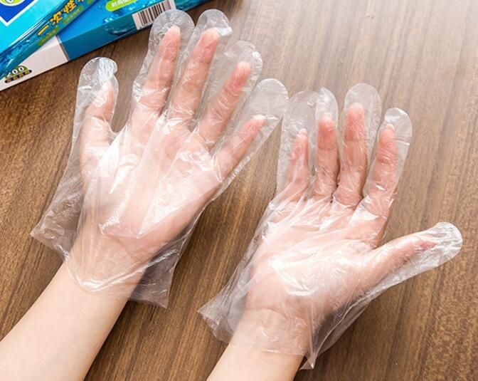 disposable food gloves
