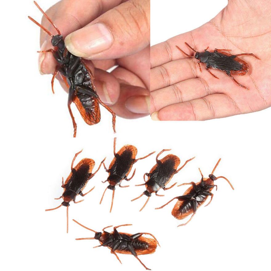 plastic toy roaches